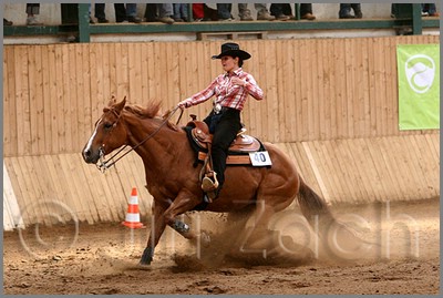 QH061_0691n.jpg (40,7 KB)