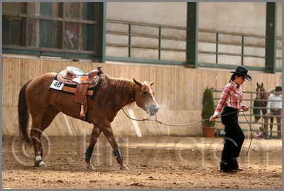 QH061_0692n.jpg (41,4 KB)
