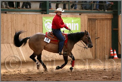 QH061_0704n.jpg (40,4 KB)