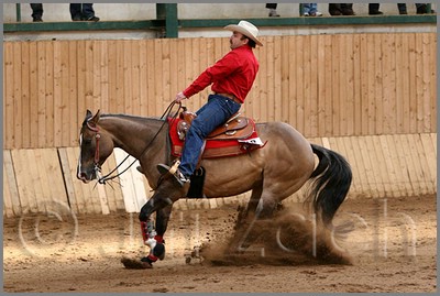 QH061_0708n.jpg (41,2 KB)