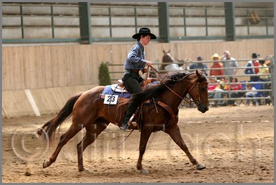QH061_0721n.jpg (40,5 KB)