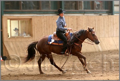 QH061_0725n.jpg (36,5 KB)