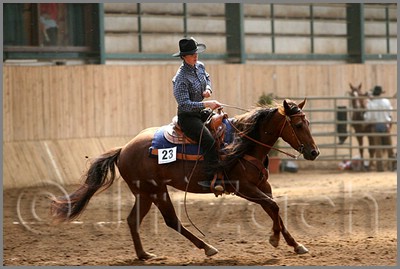 QH061_0726n.jpg (36,9 KB)