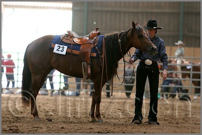 QH061_0732n.jpg (36,3 KB)