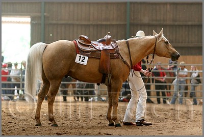 QH061_0744n.jpg (38,4 KB)