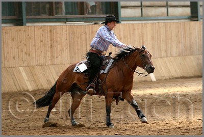 QH061_0747n.jpg (37,2 KB)