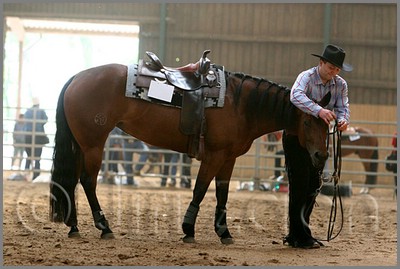 QH061_0755n.jpg (37,3 KB)