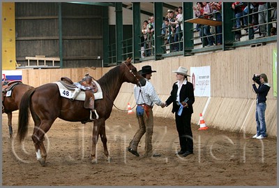 QH061_0758n.jpg (44,3 KB)