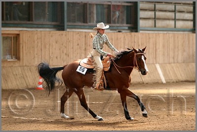 QH061_0769n.jpg (37,0 KB)