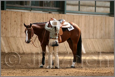 QH061_0774n.jpg (38,9 KB)