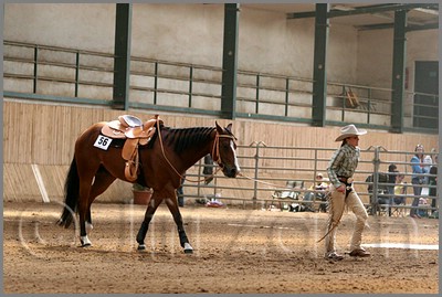 QH061_0775n.jpg (42,4 KB)