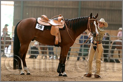 QH061_0776n.jpg (37,3 KB)