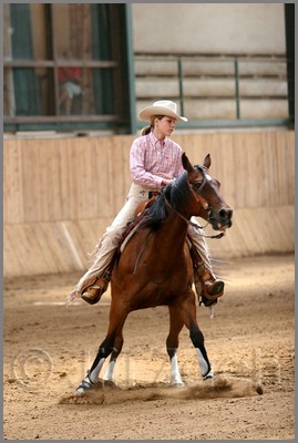 QH061_0778n.jpg (34,2 KB)