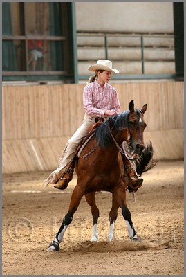 QH061_0779n.jpg (36,7 KB)