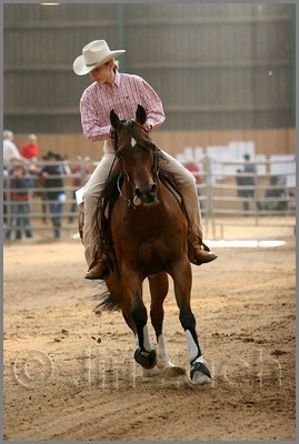 QH061_0785n.jpg (35,4 KB)