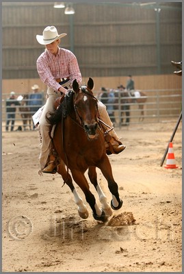 QH061_0787n.jpg (38,1 KB)
