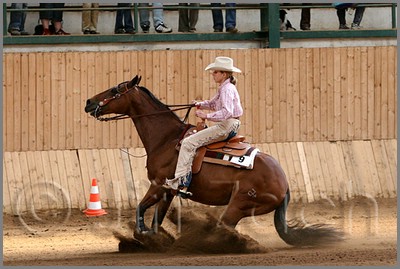 QH061_0788n.jpg (41,1 KB)