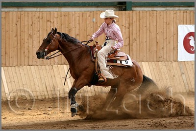 QH061_0791n.jpg (39,7 KB)