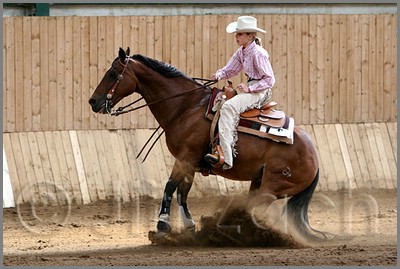 QH061_0792n.jpg (40,9 KB)