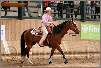 QH061_0793n.jpg (45,8 KB)