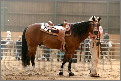 QH061_0795n.jpg (37,1 KB)