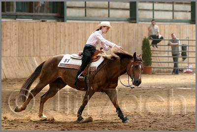QH061_0796n.jpg (39,3 KB)