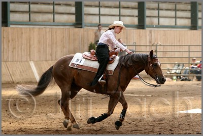 QH061_0797n.jpg (38,8 KB)