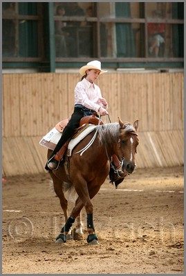 QH061_0798n.jpg (36,7 KB)