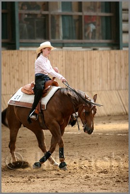 QH061_0801n.jpg (36,8 KB)