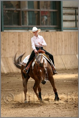 QH061_0814n.jpg (37,0 KB)