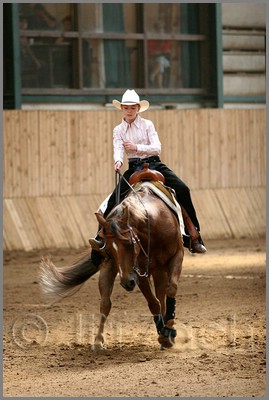 QH061_0816n.jpg (36,2 KB)
