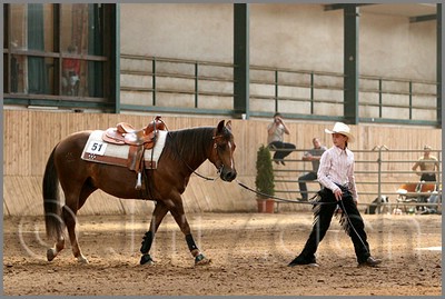 QH061_0823n.jpg (42,2 KB)