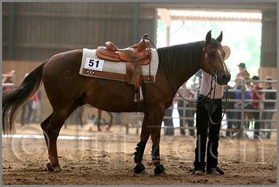 QH061_0825n.jpg (37,2 KB)