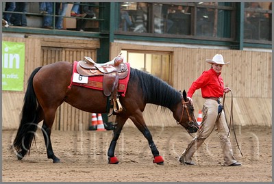 QH061_0835n.jpg (40,7 KB)