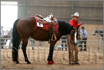 QH061_0836n.jpg (35,0 KB)