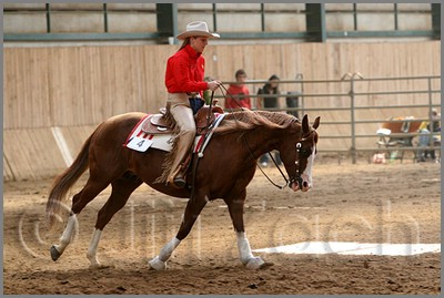 QH061_0860n.jpg (39,9 KB)