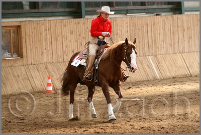 QH061_0861n.jpg (41,8 KB)
