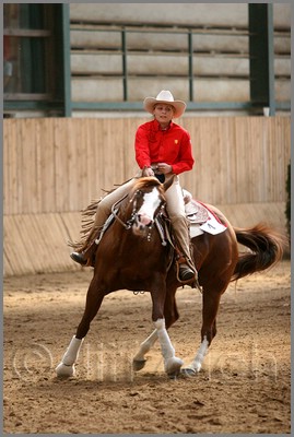 QH061_0863n.jpg (37,8 KB)