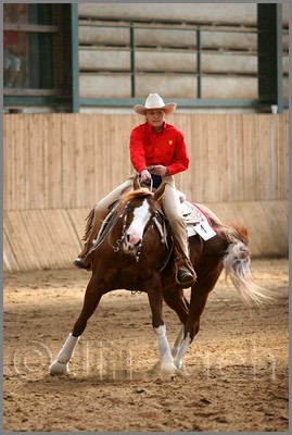 QH061_0864n.jpg (37,9 KB)