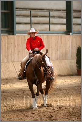 QH061_0866n.jpg (37,7 KB)