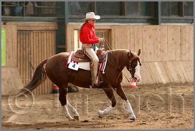 QH061_0870n.jpg (38,1 KB)