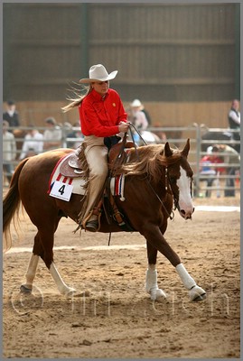 QH061_0871n.jpg (37,3 KB)