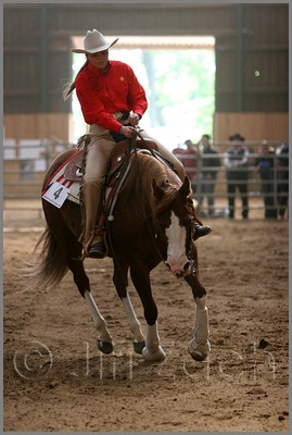 QH061_0872n.jpg (36,5 KB)