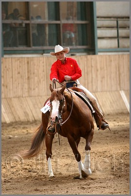 QH061_0873n.jpg (37,5 KB)