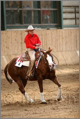 QH061_0874n.jpg (38,7 KB)