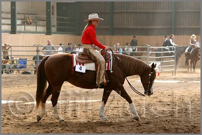 QH061_0883n.jpg (43,2 KB)