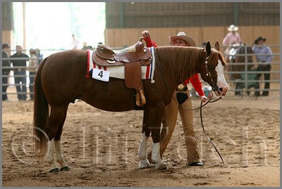QH061_0884n.jpg (39,3 KB)
