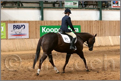 QH061_0901n.jpg (43,3 KB)