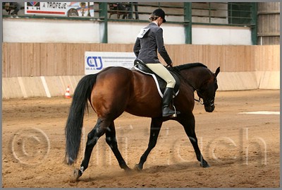 QH061_0902n.jpg (38,7 KB)