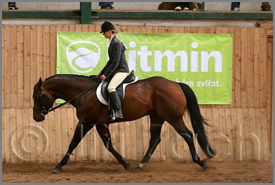 QH061_0909n.jpg (37,7 KB)
